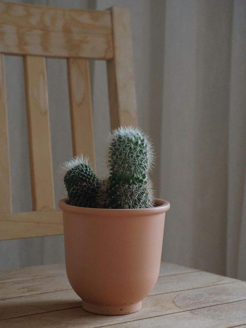 EimerProfi GmbH - Image 14